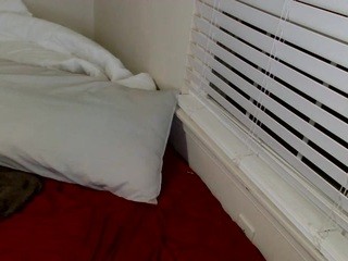 sweetsummer nude on cam – Live Sex Chat