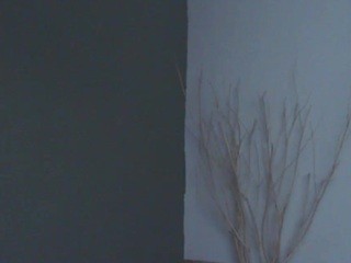 ?, brenda? nude on cam – Live Sex Chat