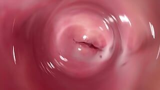 The hottest pussy spreading and internal camera in Mia’s creamy vagina