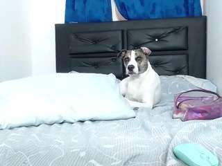 vanessa-bh xxx nude on webcam – Live Sex Chat