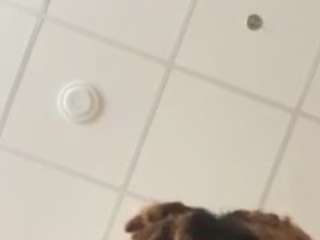 SPONGEBOBLOVER xxx nude on webcam – Live Sex Chat