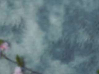 MandieEveler xxx nude on webcam – Live Sex Chat